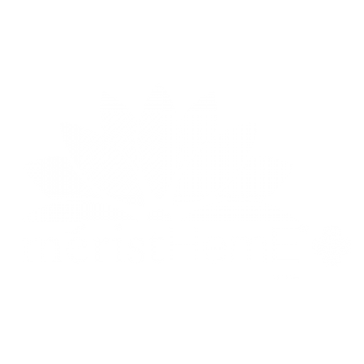 logo_méristHemE